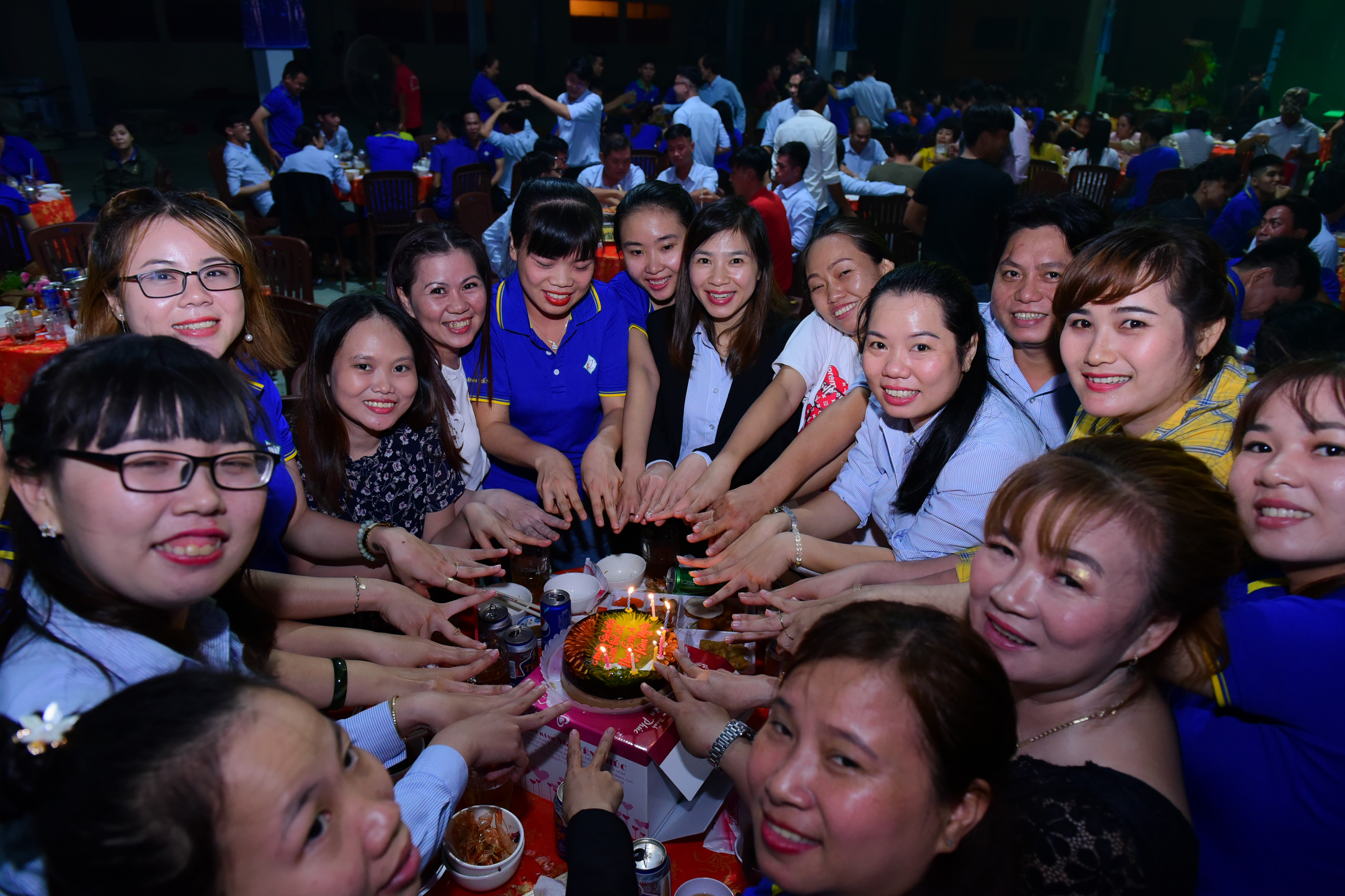 2019 Một năm nhìn lại